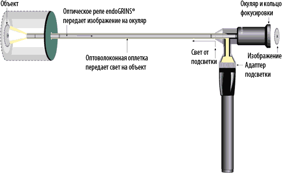 Выбор эндоскопа